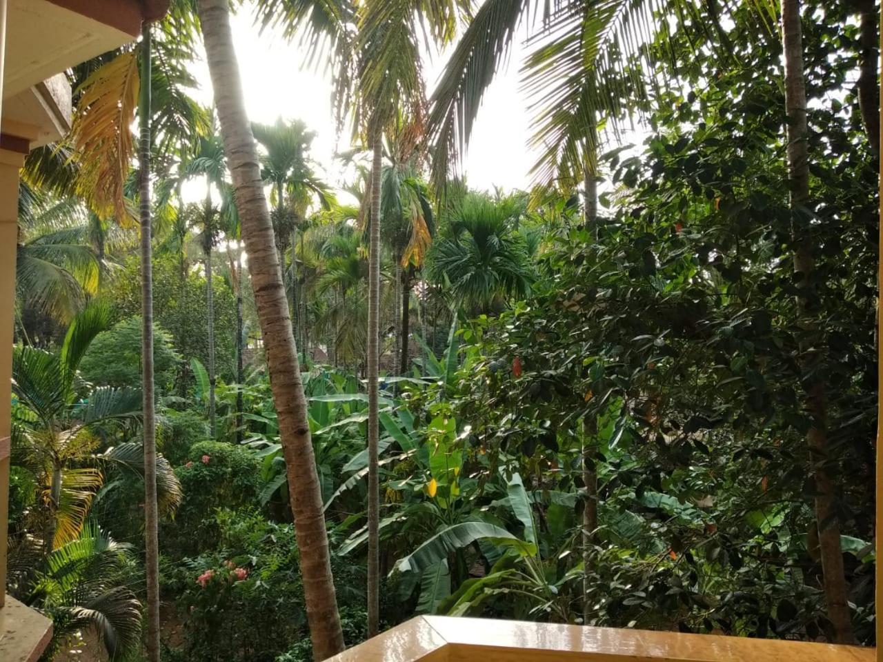 Indraprasth Apartment Palolem Luaran gambar
