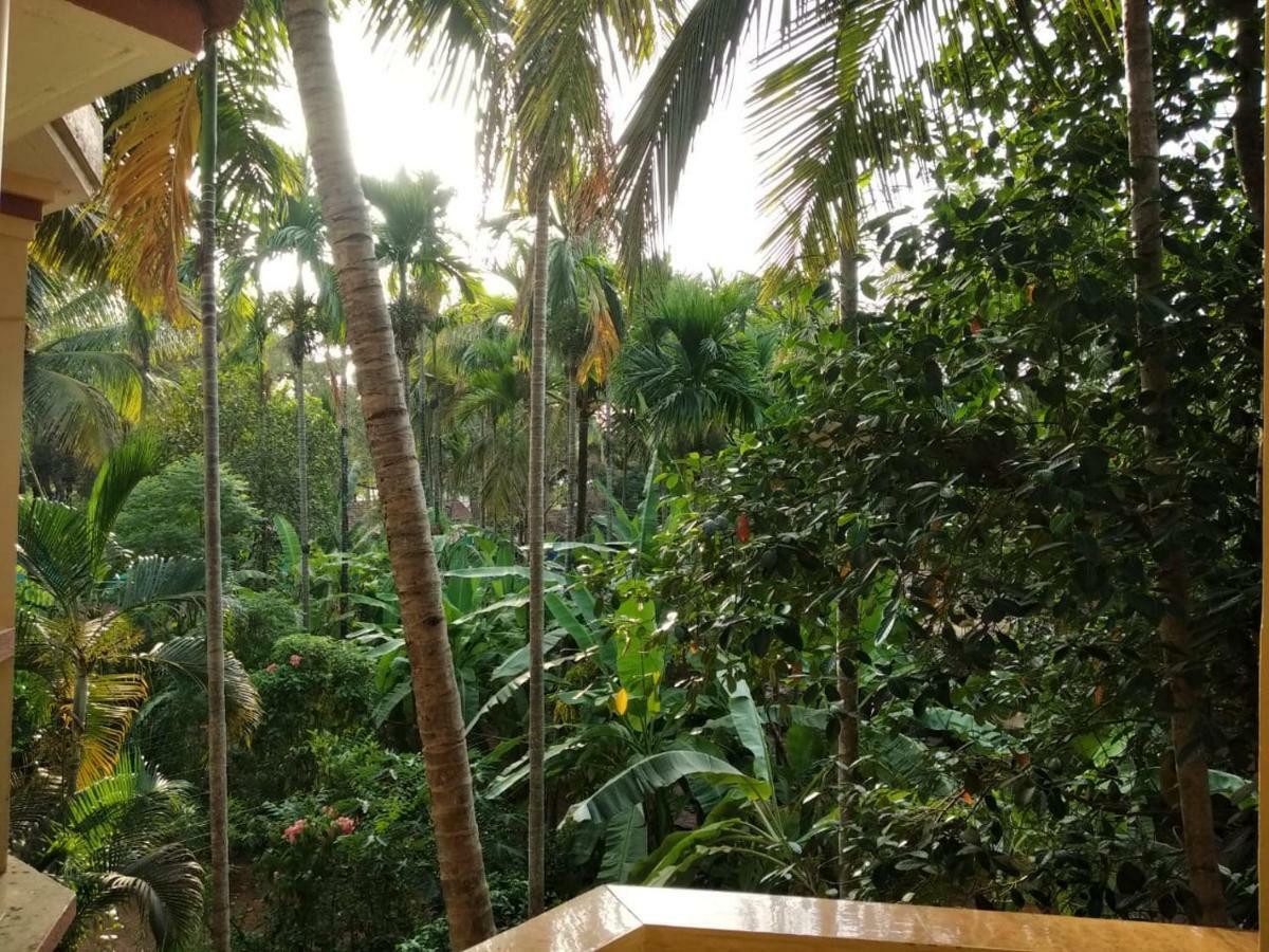Indraprasth Apartment Palolem Luaran gambar